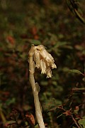 IMG_1021