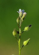 IMG_1703