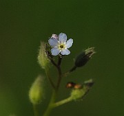 IMG_1705