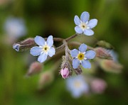 IMG_3768