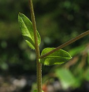 IMG_8056