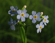 IMG_2745