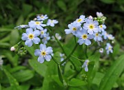 IMG_0402