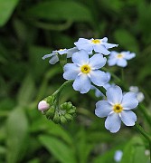 IMG_0404