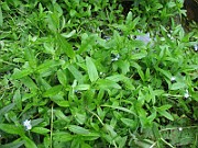 IMG_0406