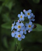 IMG_1337