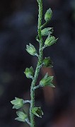 IMG_1345