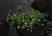 IMG_1348