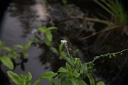 IMG_1349