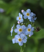 IMG_1350