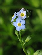 IMG_3431