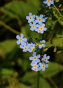 IMG_6653
