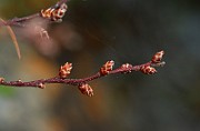 IMG_0535