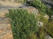 IMG_4712