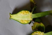 IMG_1039