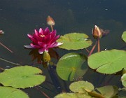 P1040106b