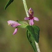 IMG_9672