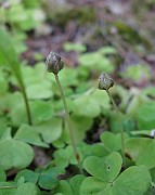 IMG_5349