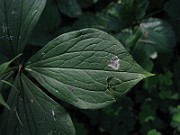 IMG_3277