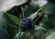 IMG_3278