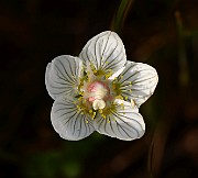 IMG_0675