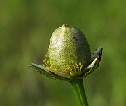 IMG_2220