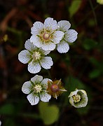 IMG_6205