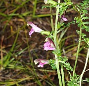 IMG_9957