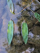 IMG_3767
