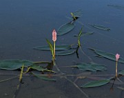 IMG_3773