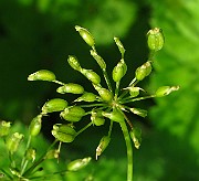 IMG_3269