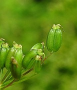IMG_3276