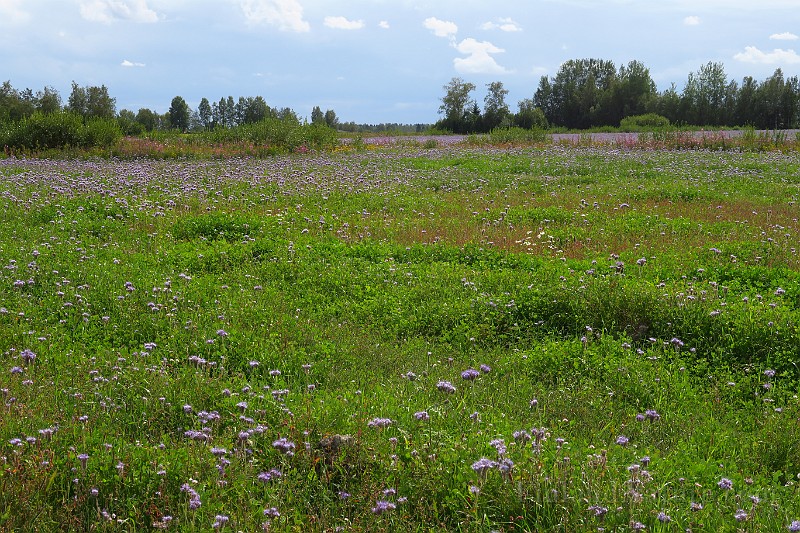 IMG_7001.JPG