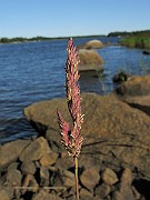 IMG_7863