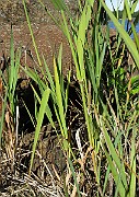 IMG_7876