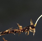 IMG_8710