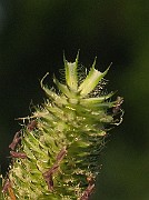 IMG_3735