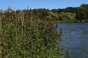 IMG_5789