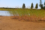 IMG_6237