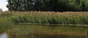 IMG_9713