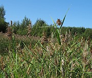 IMG_9714