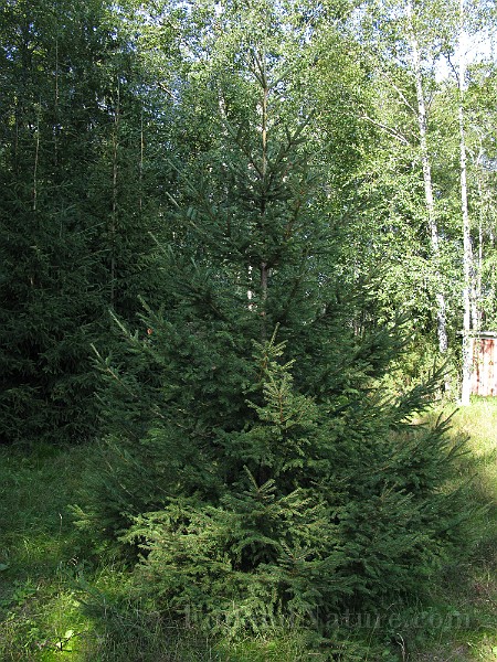 IMG_4285.jpg