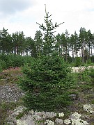 IMG_5185