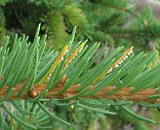 IMG_5186