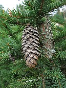 IMG_5193