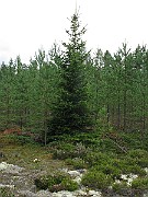 IMG_5196