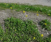 IMG_3391