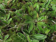 IMG_1008