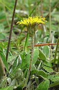 IMG_2935