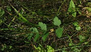 IMG_0835